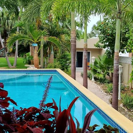 Hibiscus Beach House Jan Thiel Zewnętrze zdjęcie